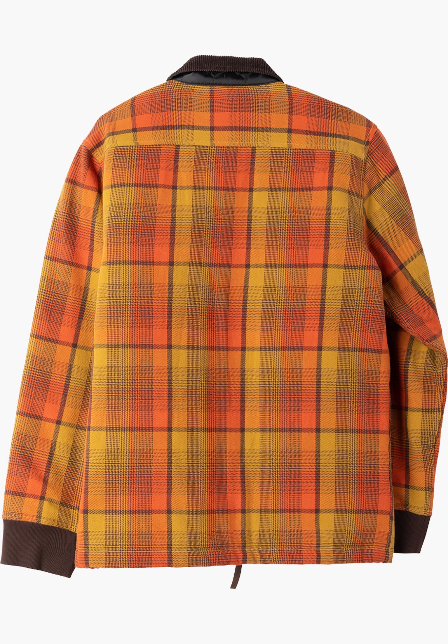 Fernando Rueckenansicht