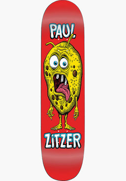 Paul Zitzer Guest Model - Heat Transfer Vorderansicht