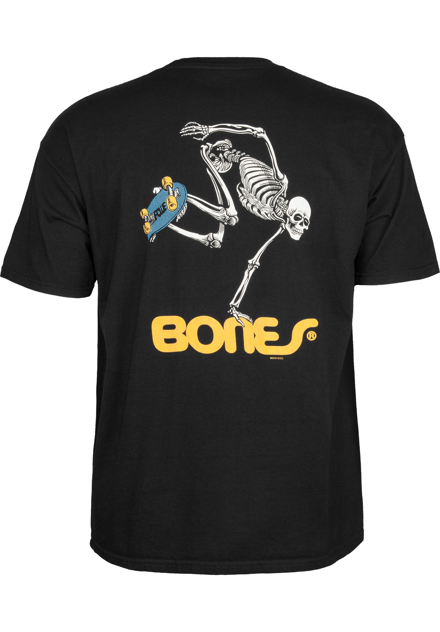 Skateboard Skeleton Closeup1
