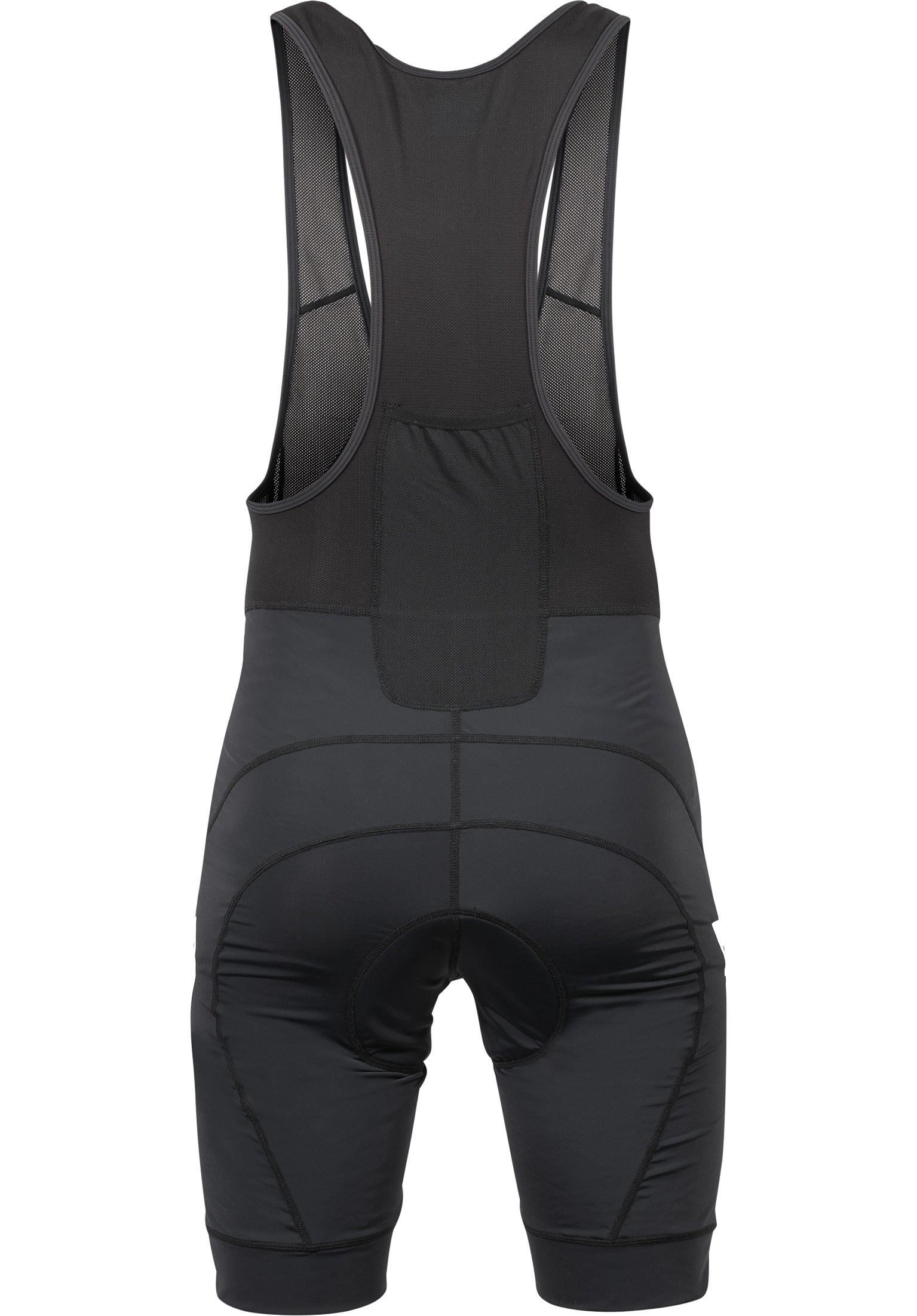 Bib Shorts black Rueckenansicht