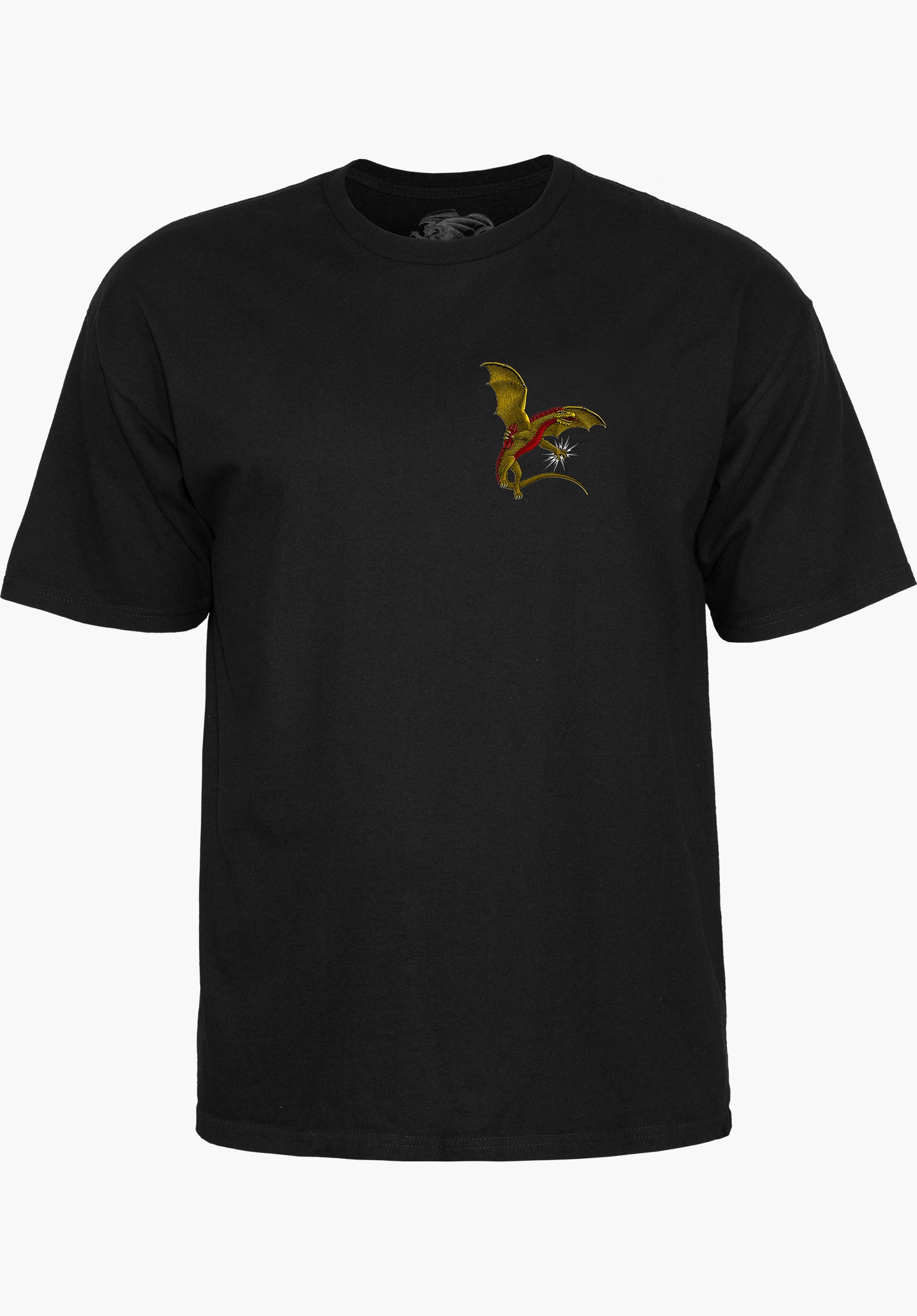 Dragons Logo Closeup1