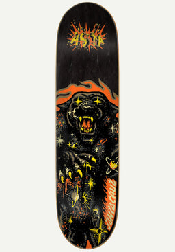 Asta Cosmic Cat Galaxy Pro black-orange Vorderansicht