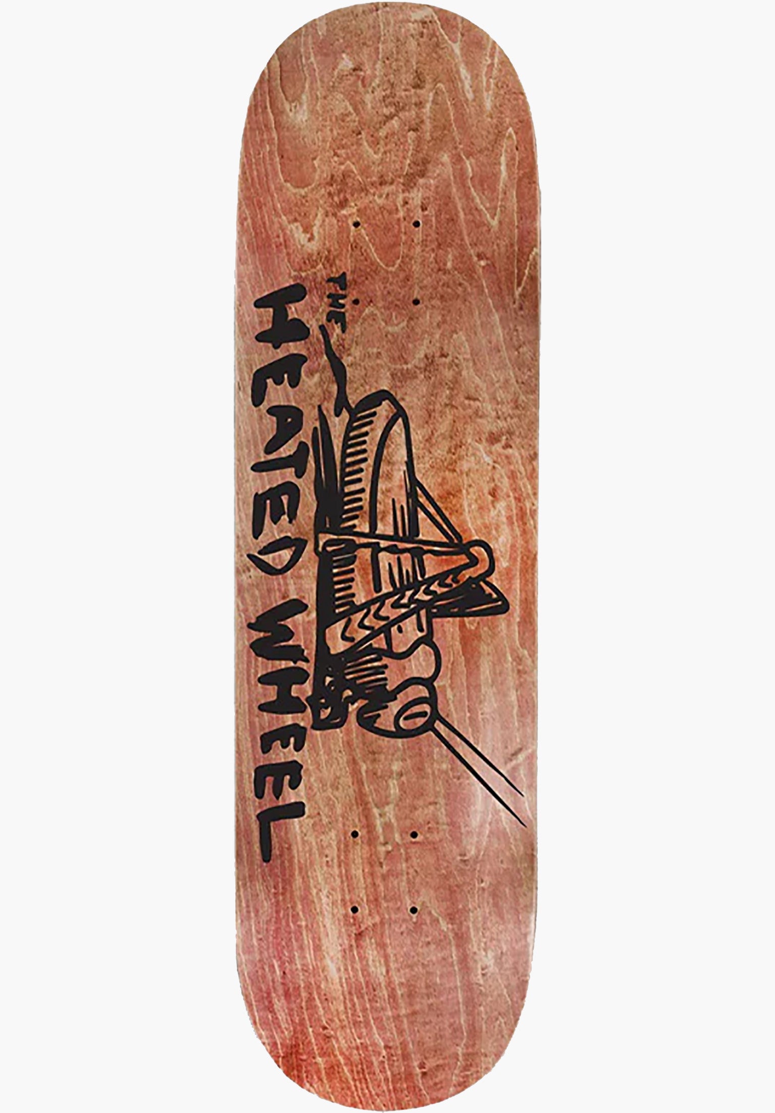 Grass-hopper Team Models Vorderansicht