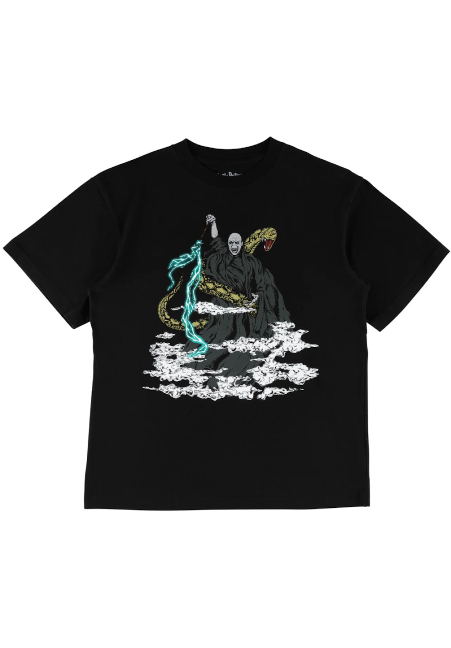 x Harry Potter Voldemort black Vorderansicht