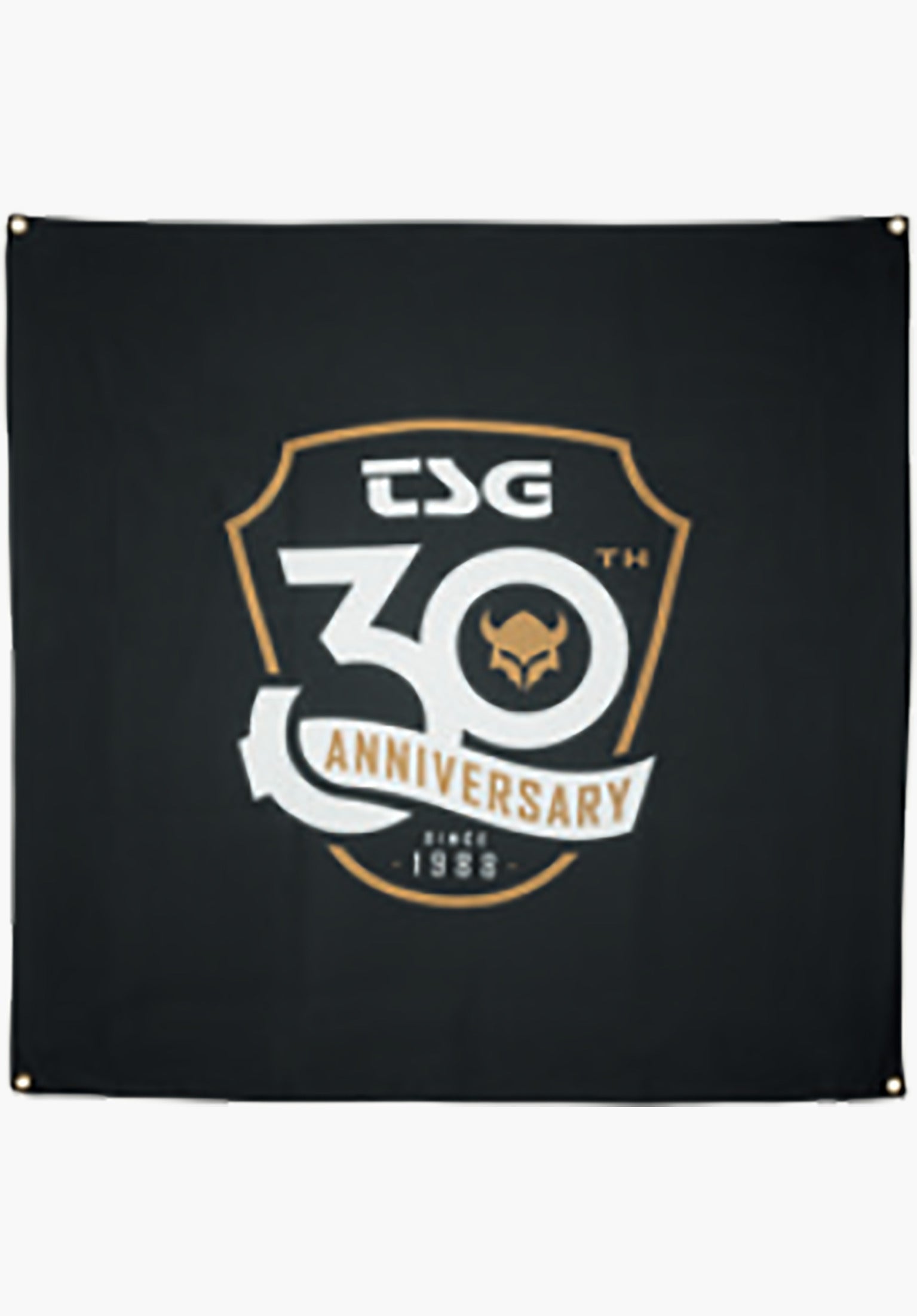 30th Anniversay Banner Vorderansicht