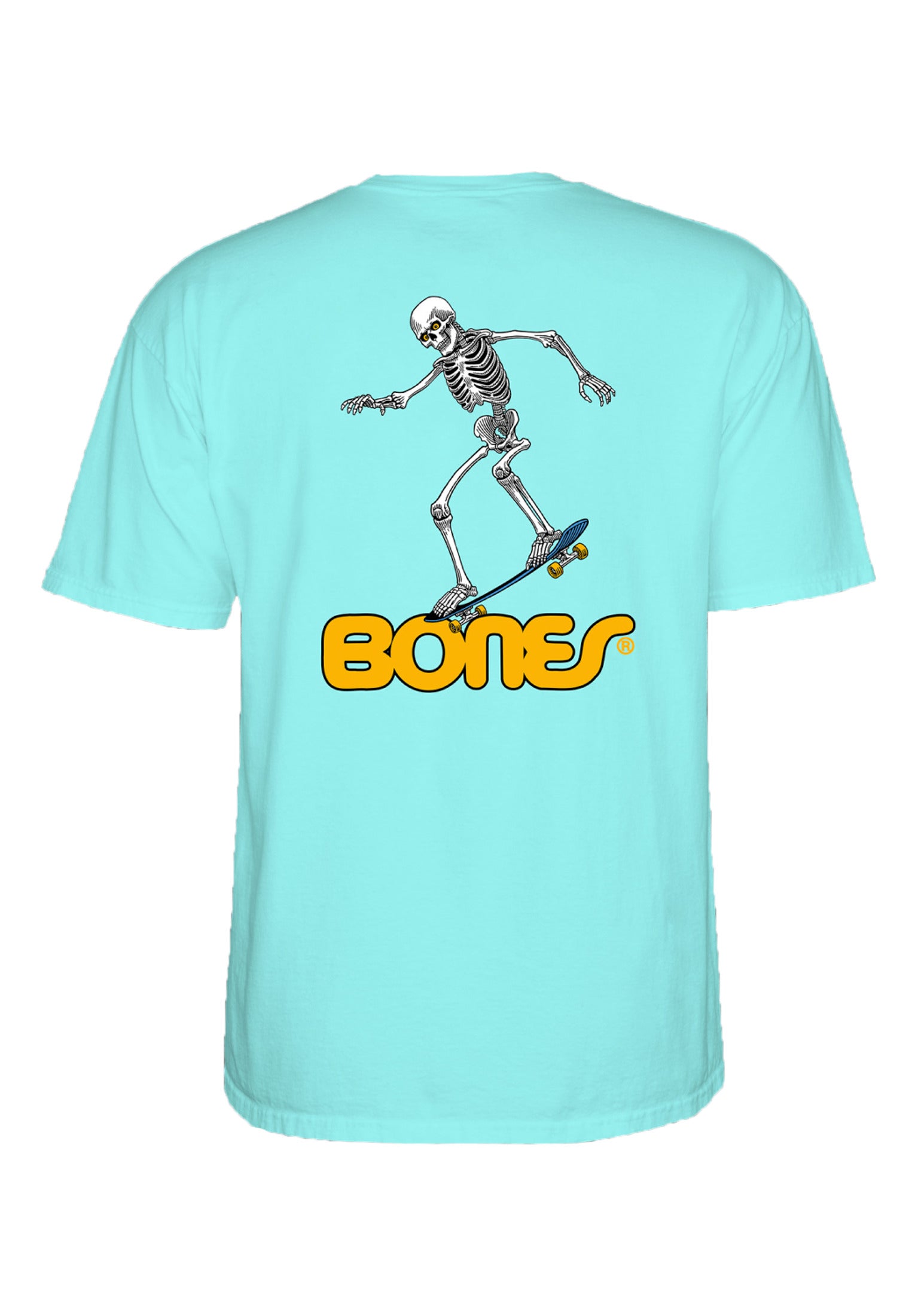 Skateboard Skeleton III celadon Vorderansicht
