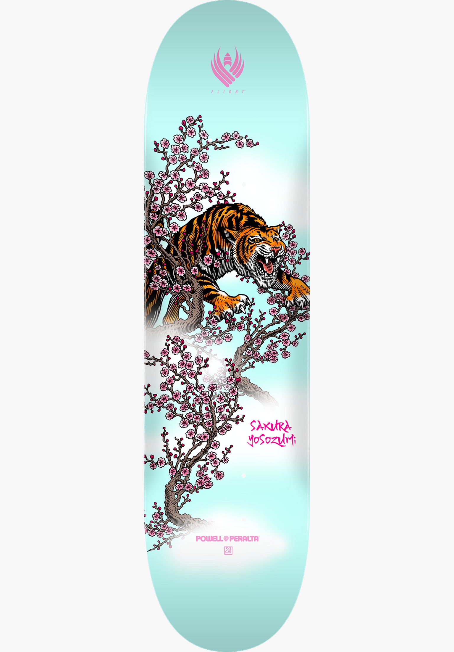 Flight Pro Shape 243 Yosozumi Tiger Vorderansicht