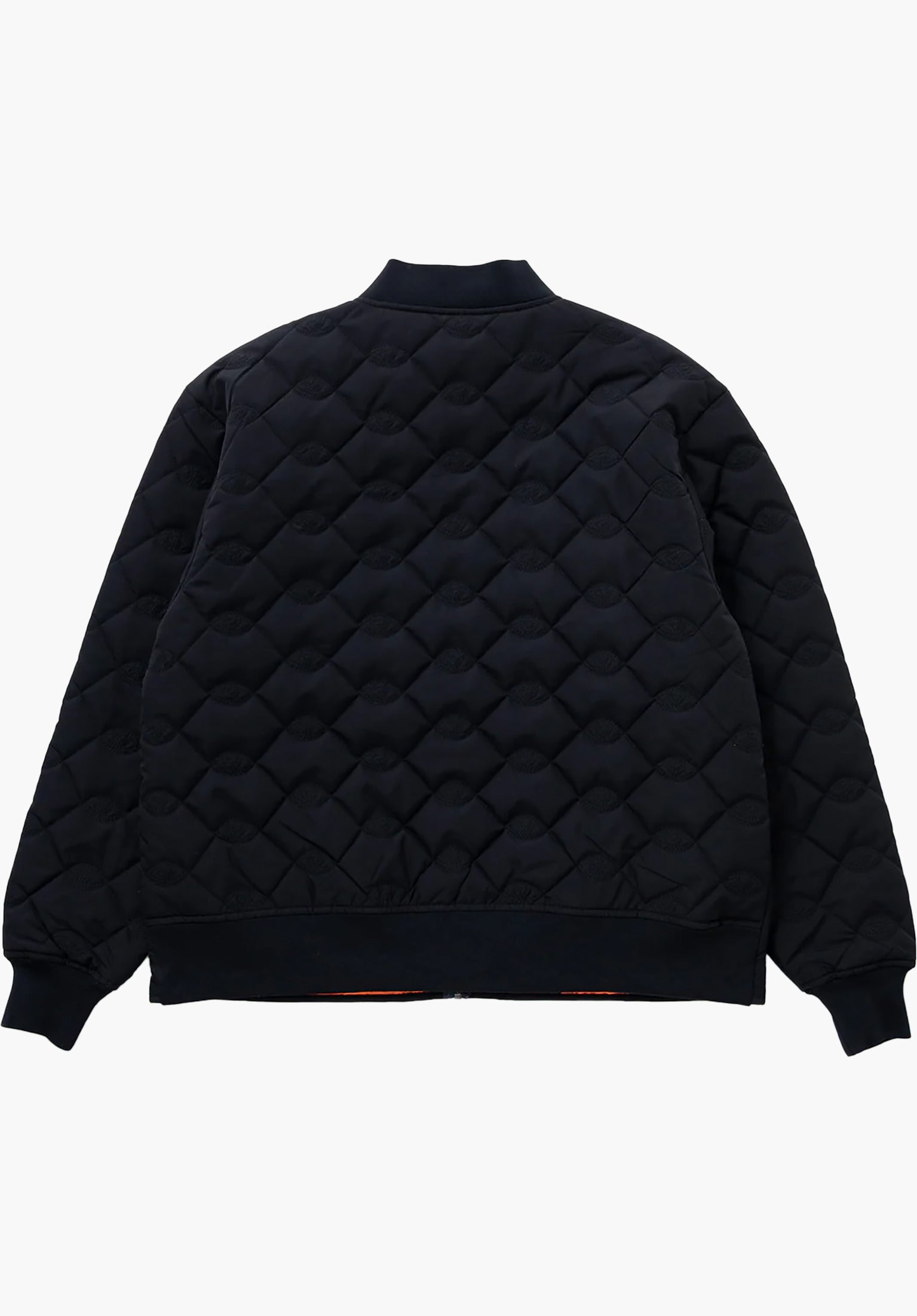 Sect Eye Stitch Quilted Bomber Rueckenansicht