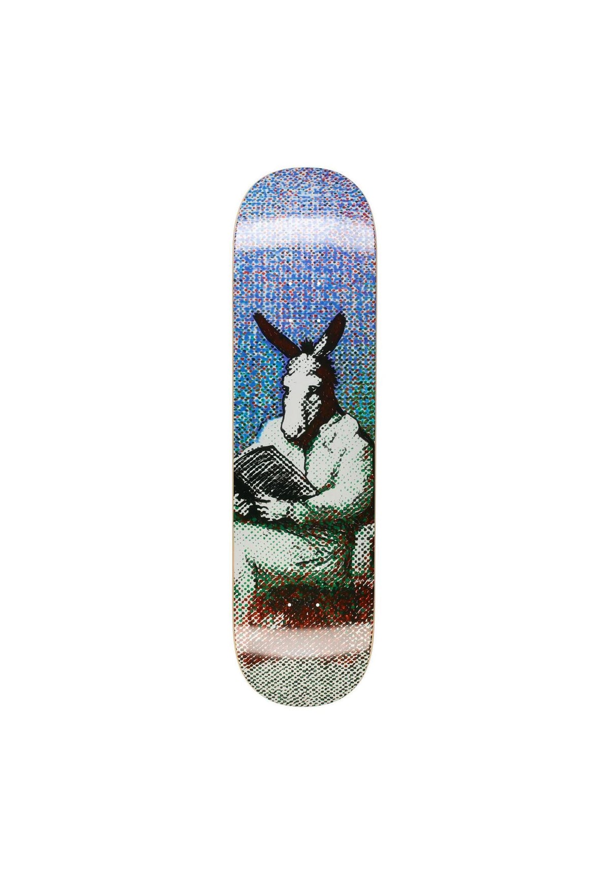 Dumb Donkey multicolored Vorderansicht