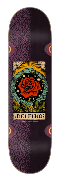 Delfino Ouroboros Pro purple-black Vorderansicht