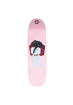 Nora Static Sphynx pink Vorderansicht