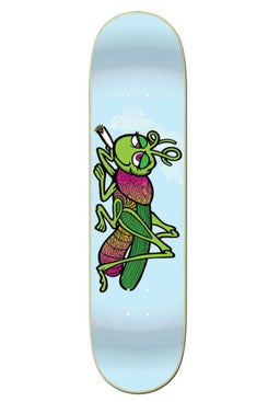 Grassbopper lightblue Vorderansicht
