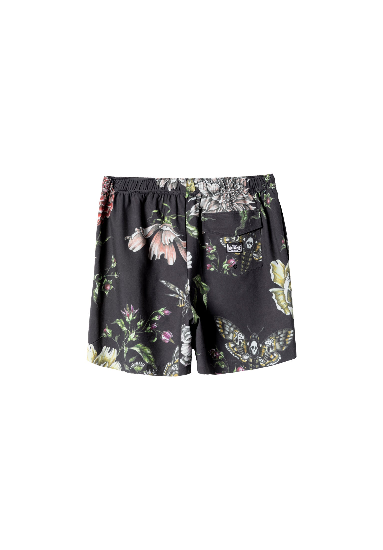 Hawkmoth black Rueckenansicht