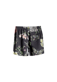 Hawkmoth black Rueckenansicht