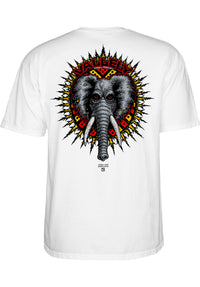 Vallely Elephant Closeup1
