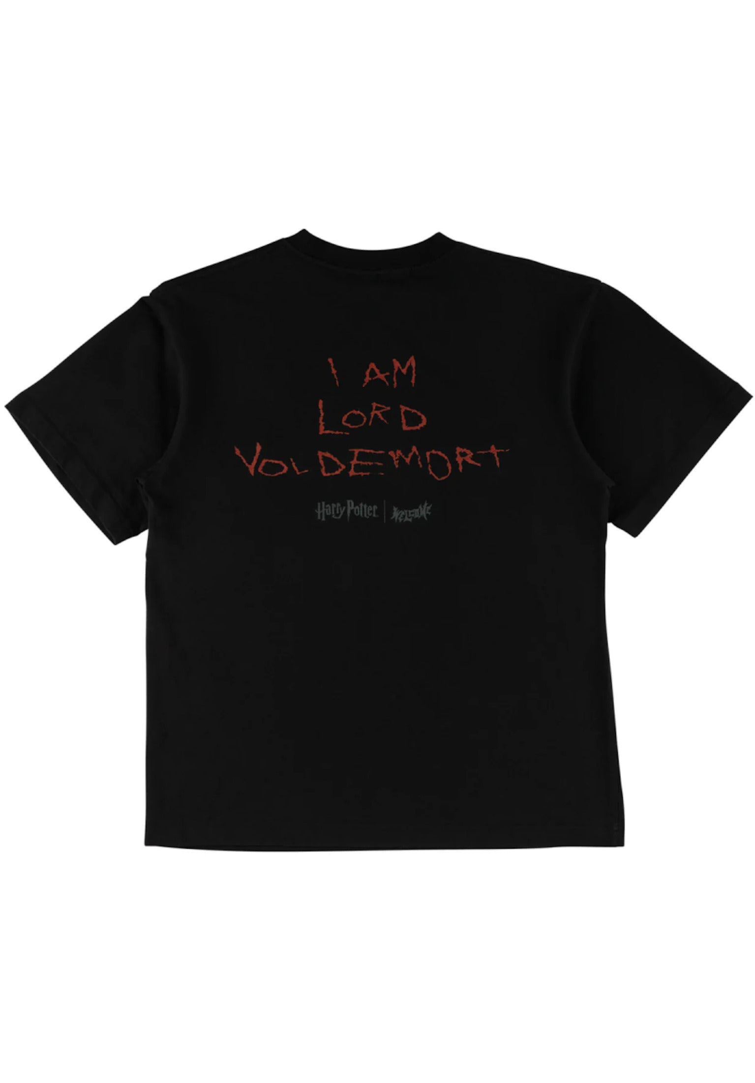 x Harry Potter Voldemort black Rueckenansicht