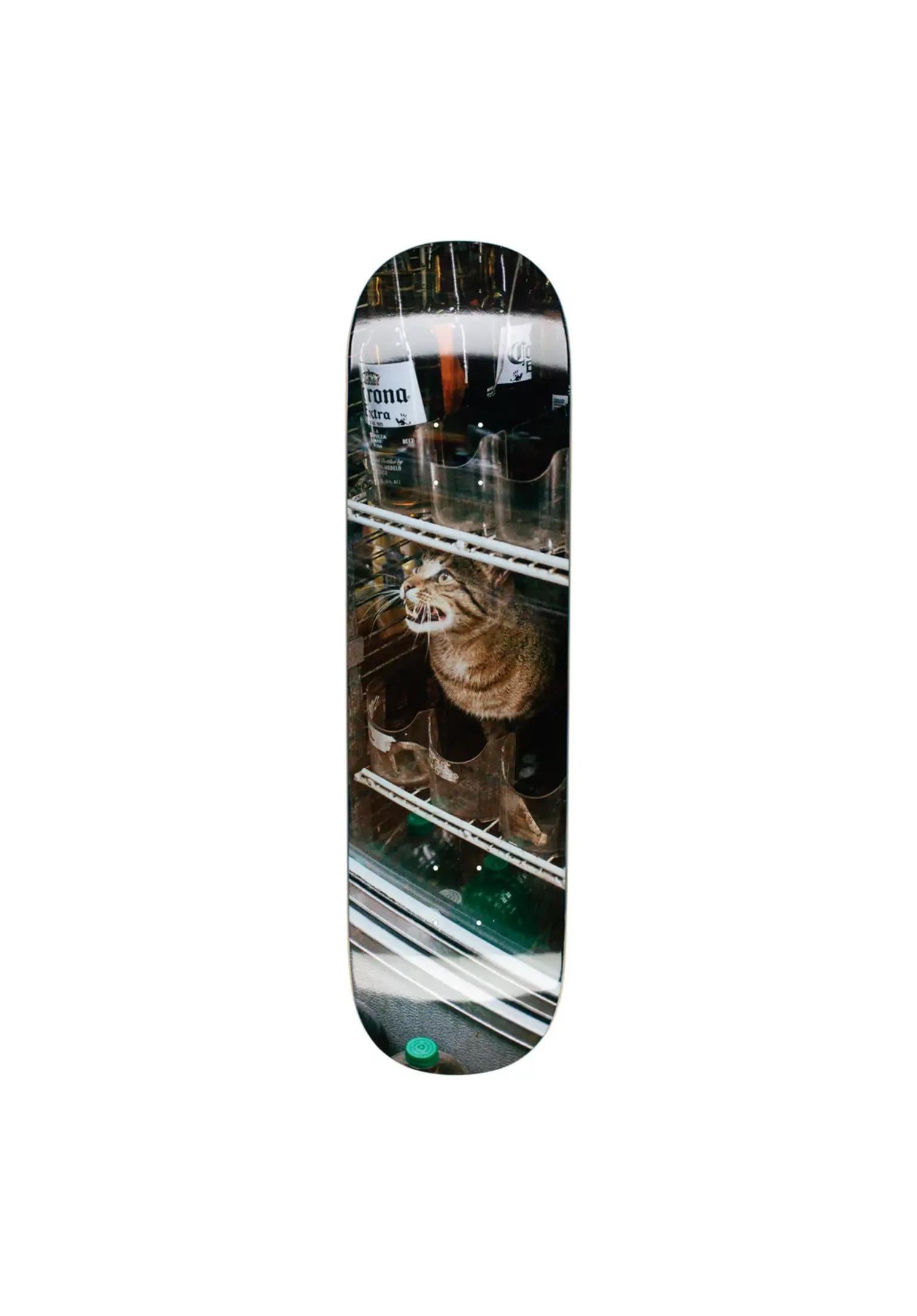 Bodega Cat multicolored Vorderansicht