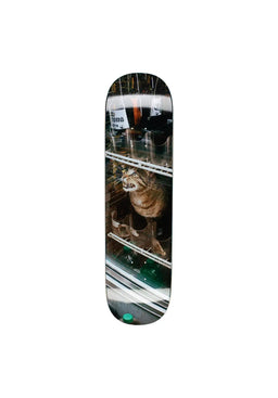 Bodega Cat multicolored Vorderansicht