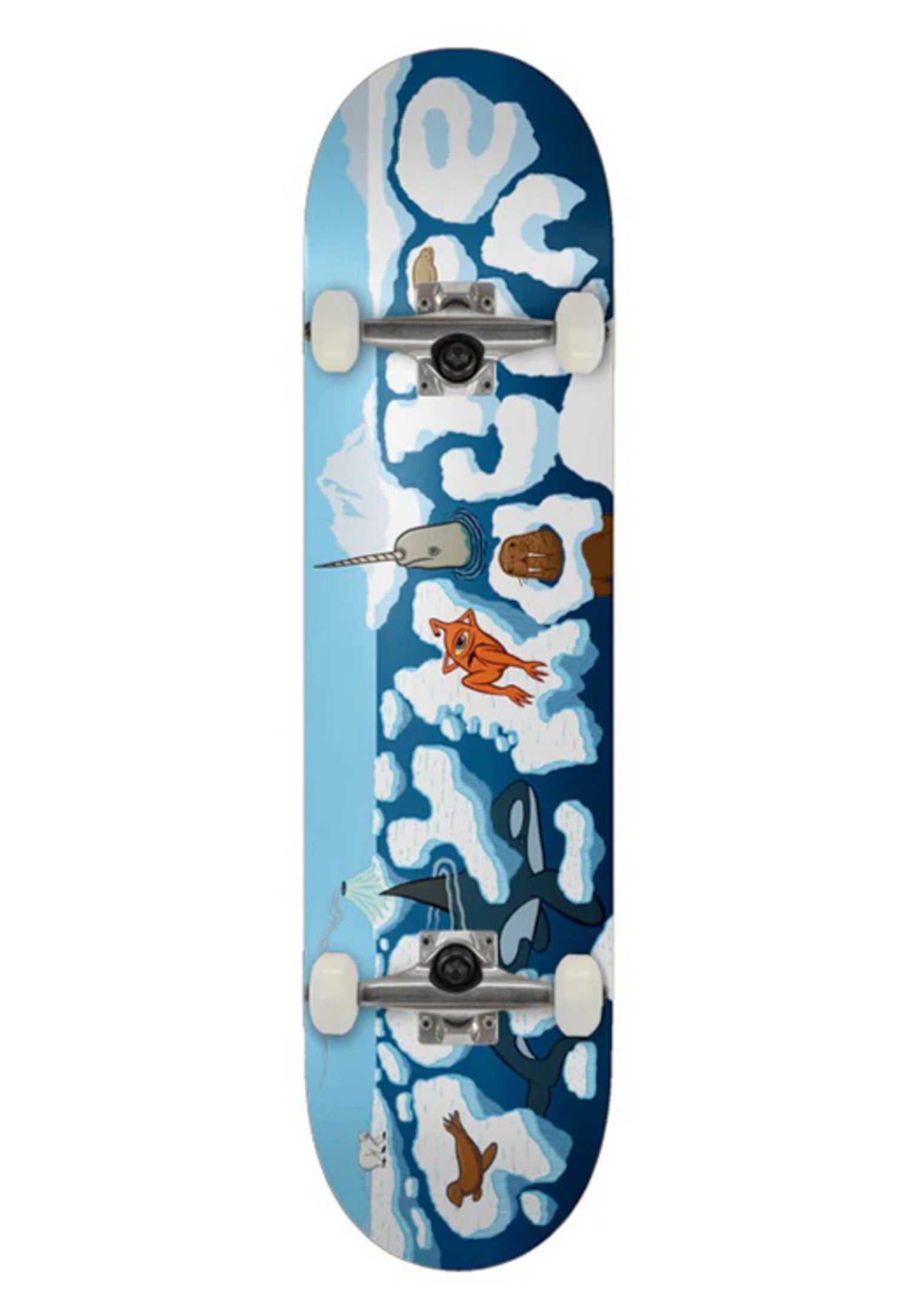 Arctic blue Vorderansicht