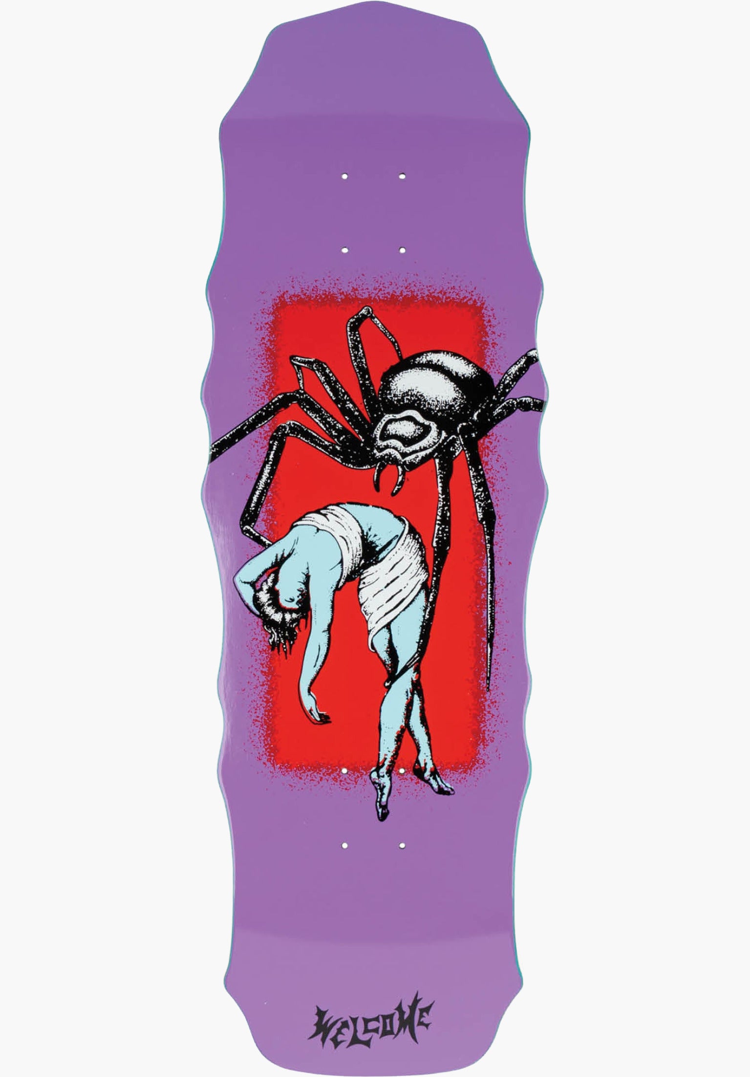 Widow on Widow purple Vorderansicht