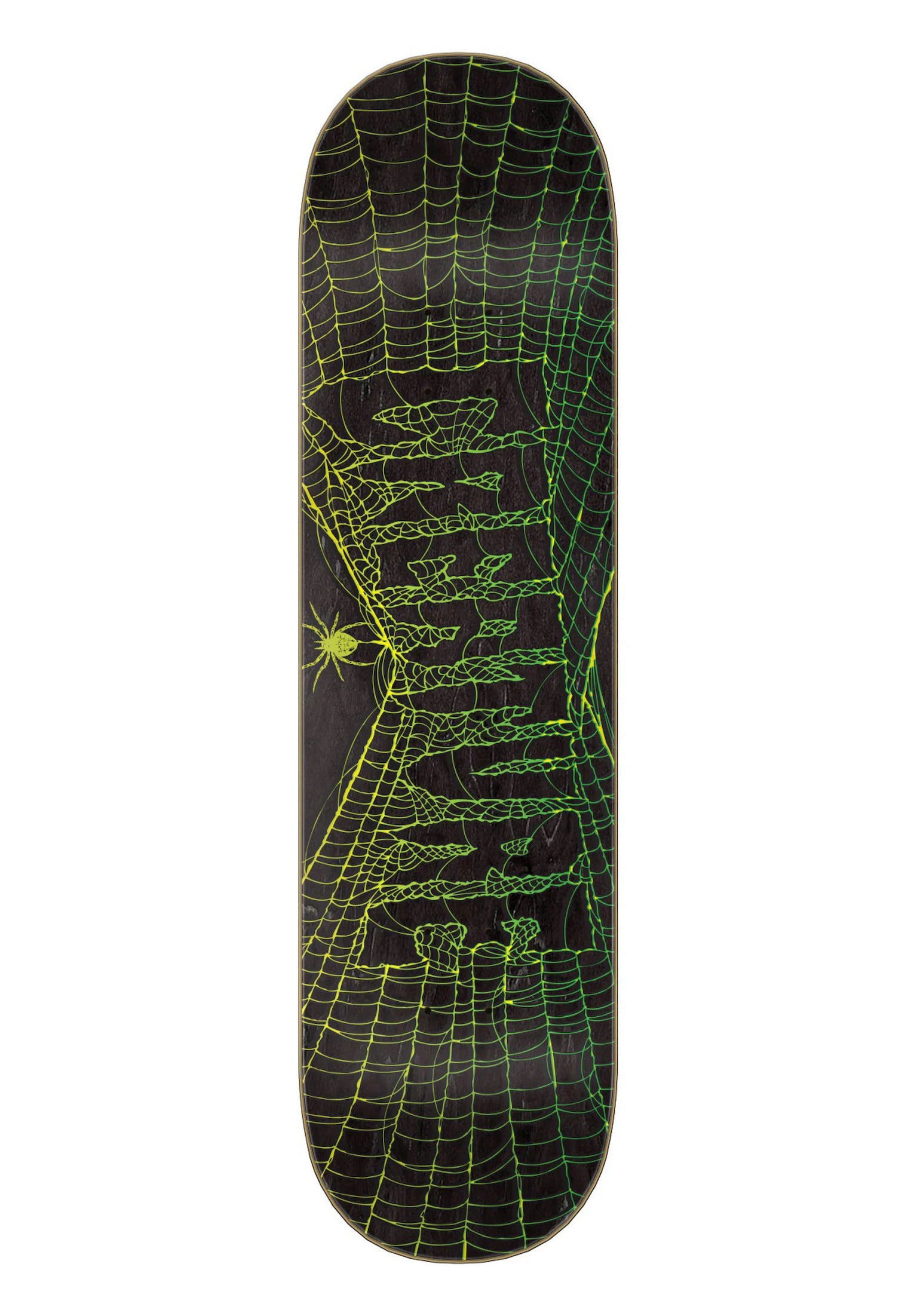 Web 2 Relic Stumps 7 PLy Birch black Vorderansicht