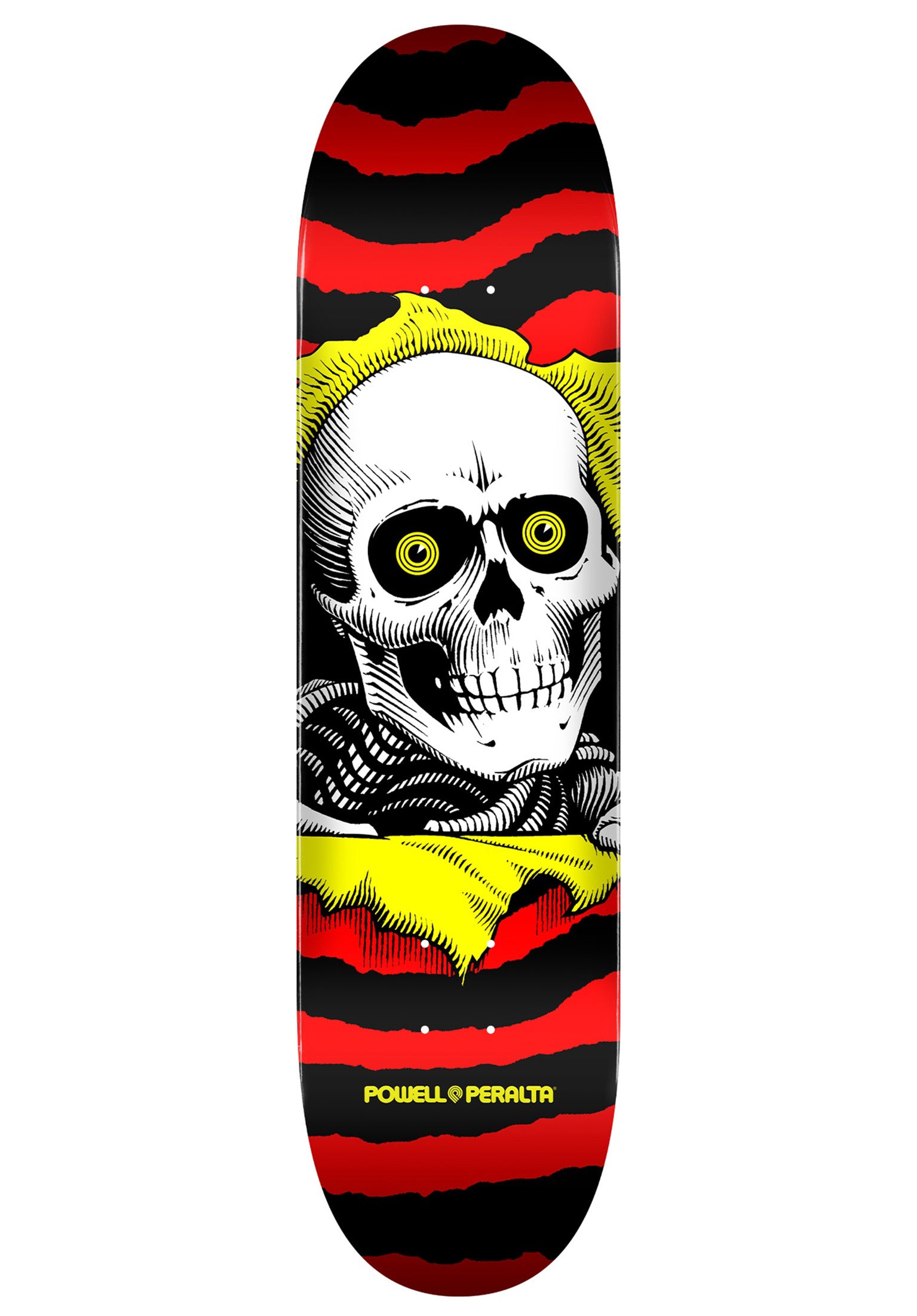 Ripper Birch red-yellow Vorderansicht