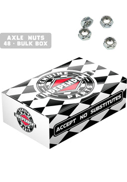 Axle Nuts Bulk Box Of 48 silver Vorderansicht