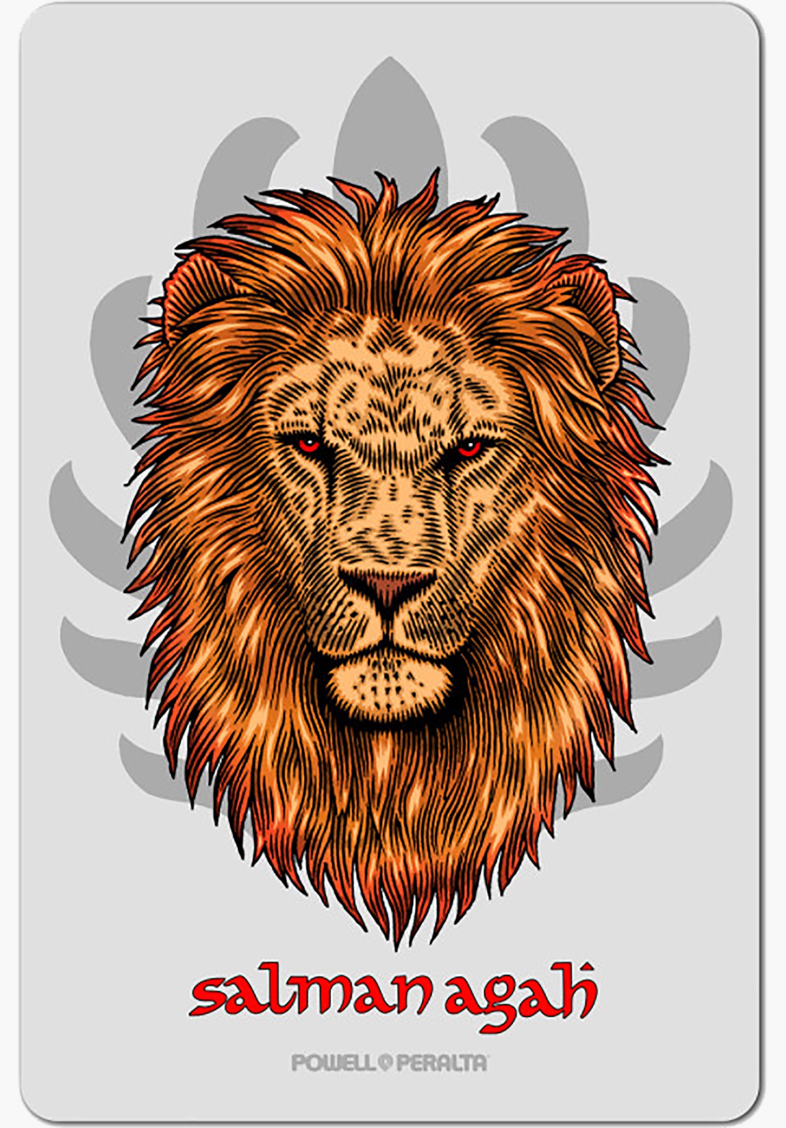Salman Agah Lion 4.5 Sticker clear Vorderansicht