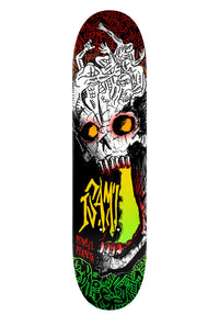 Isamu Yamamoto Skull multicolored Vorderansicht