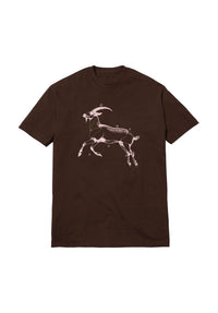 Goat brown Vorderansicht