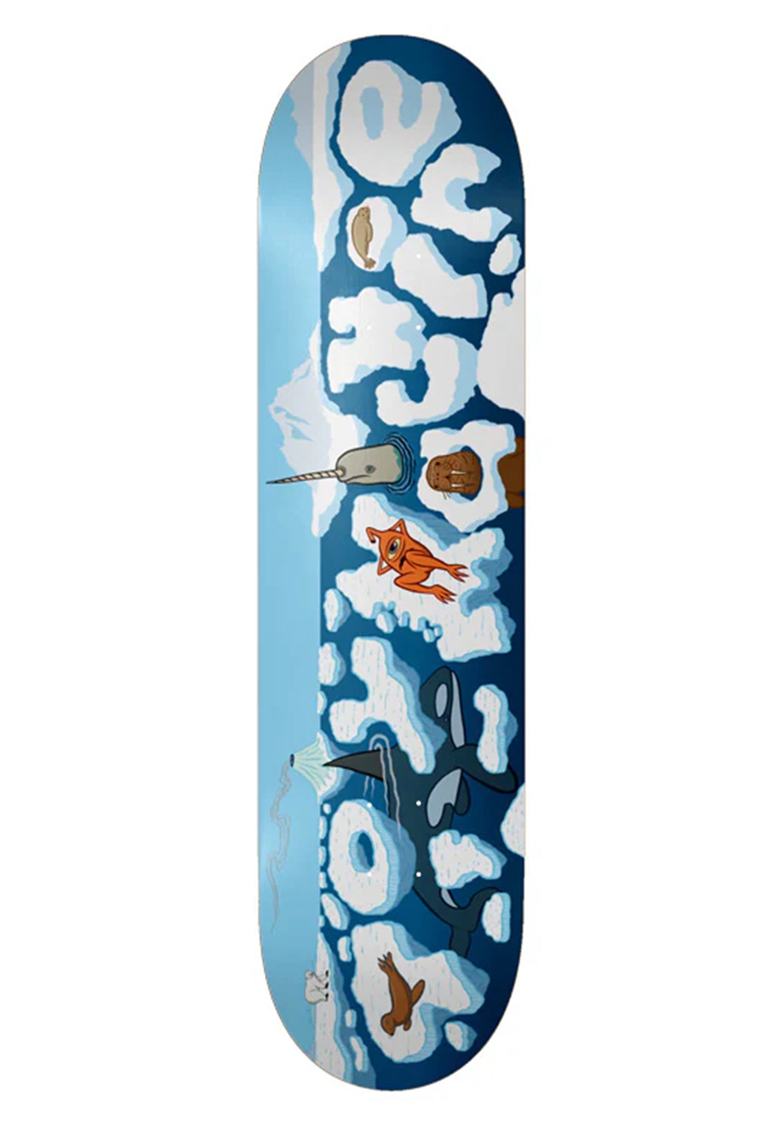 Arctic blue Vorderansicht