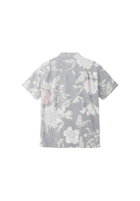 Hawkmoth black Rueckenansicht