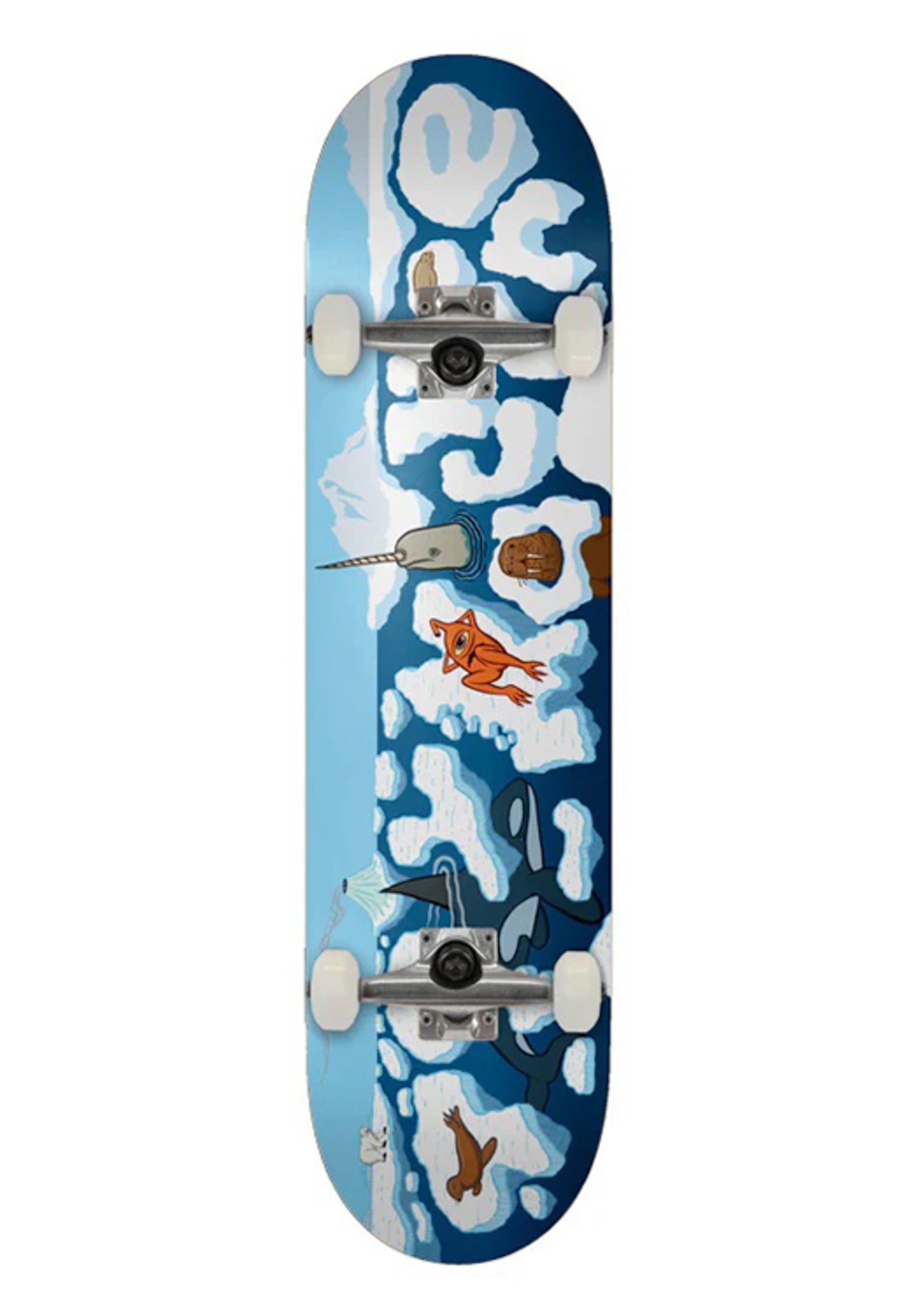 Arctic blue Vorderansicht