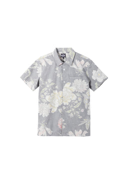 Hawkmoth black Vorderansicht